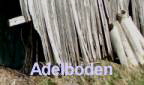 SF 01 Adelboden